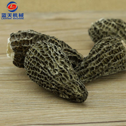 羊肚菌烘干機(jī)烘干工藝