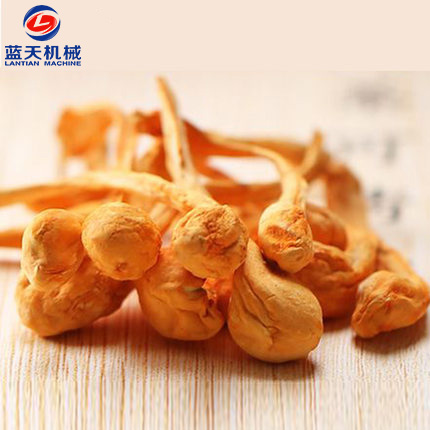 蟲(chóng)草花烘干工藝